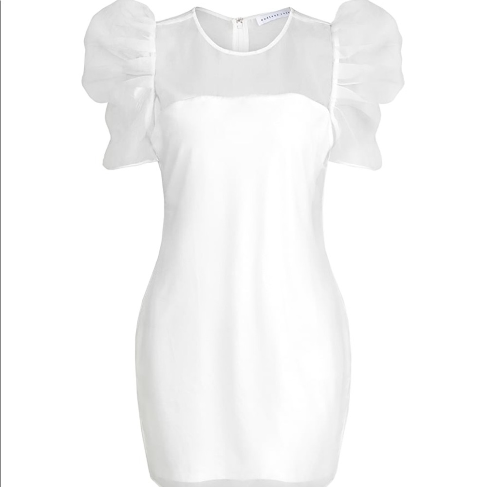 Endless Rose Organza Puff Sleeve Mini